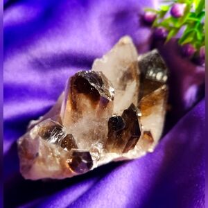 Stunning Smoky Quartz Crystal Cluster
